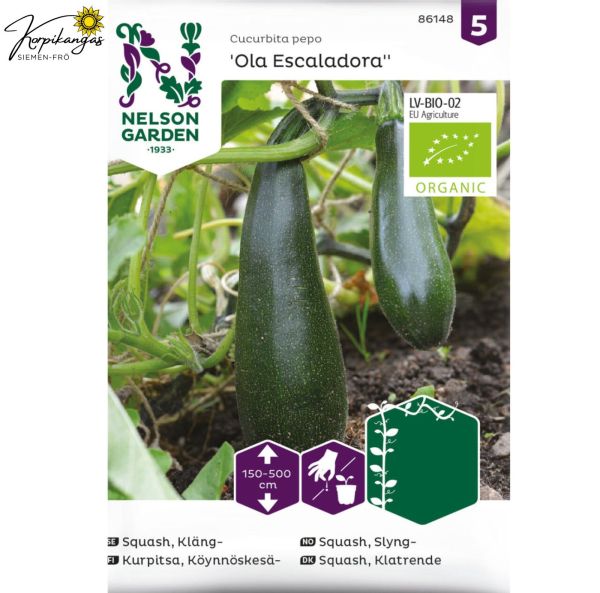 Köynnöskesäkurpitsa